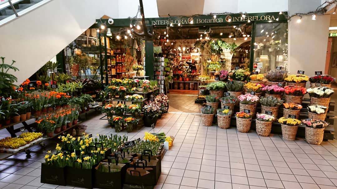 Botanica 2
